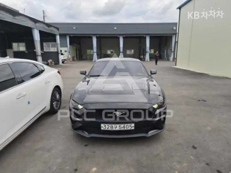 2019 Ford Mustang