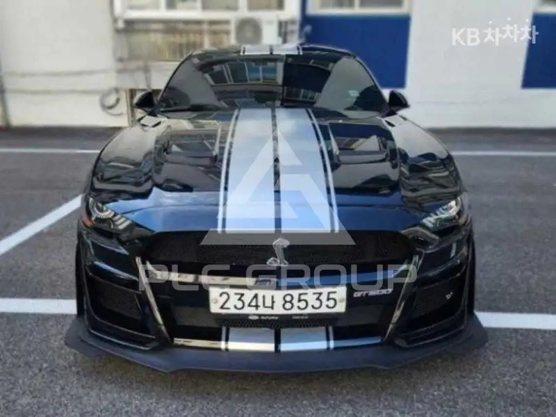 2019 Ford Mustang