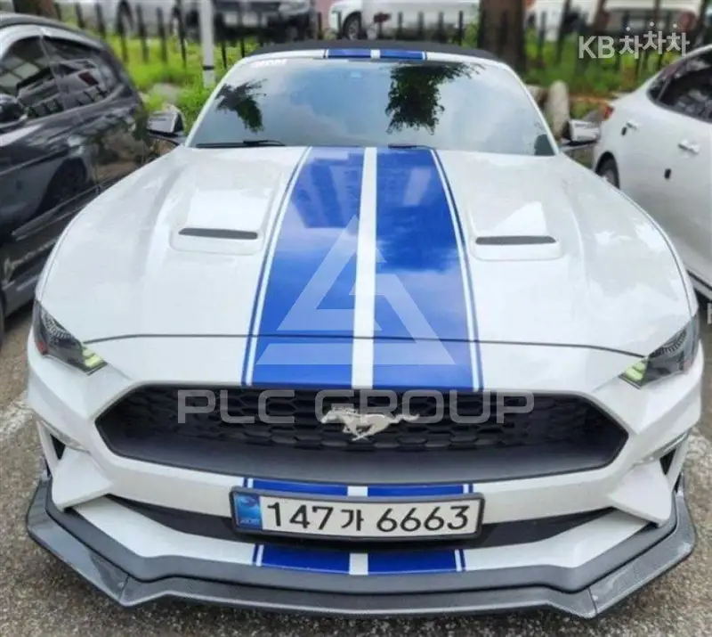 2019 Ford Mustang