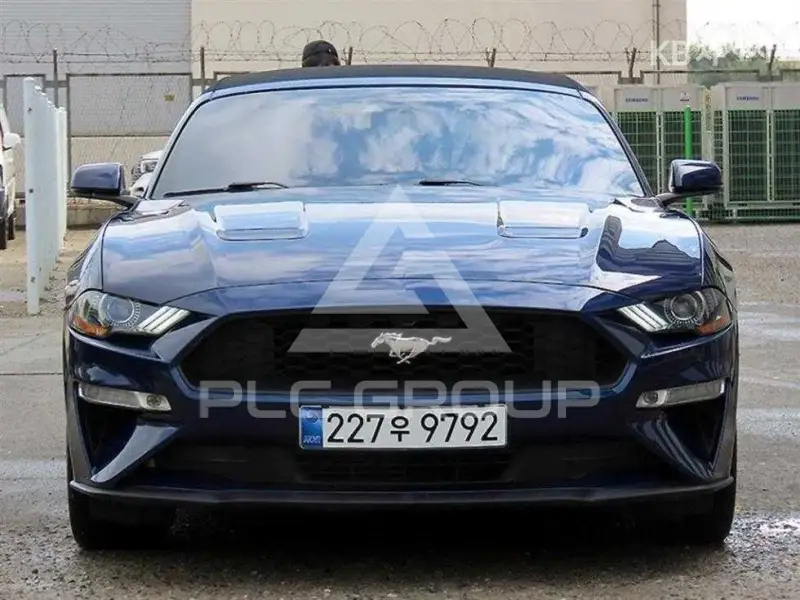 2019 Ford Mustang