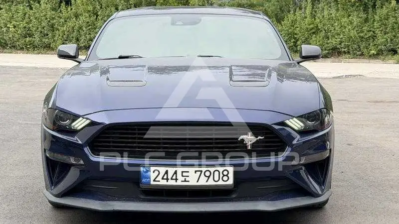 2019 Ford Mustang