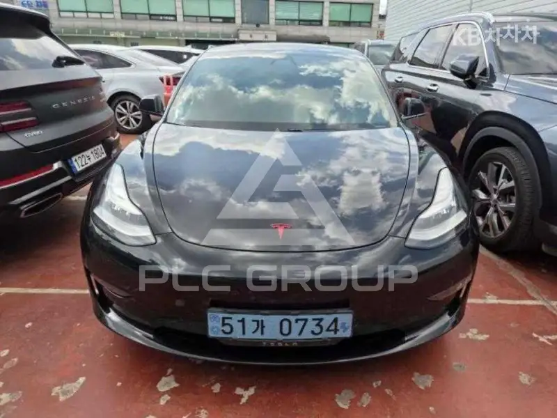 2019 Tesla MODEL 3