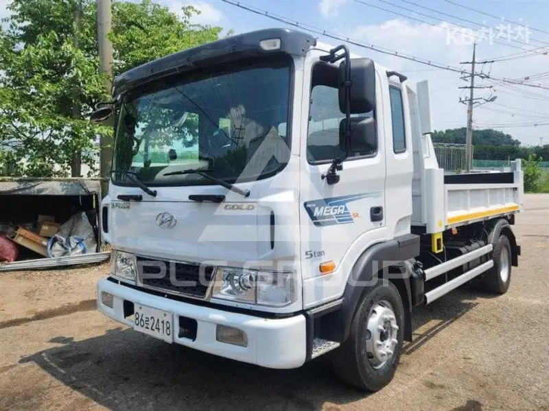2020 Hyundai TRUCK