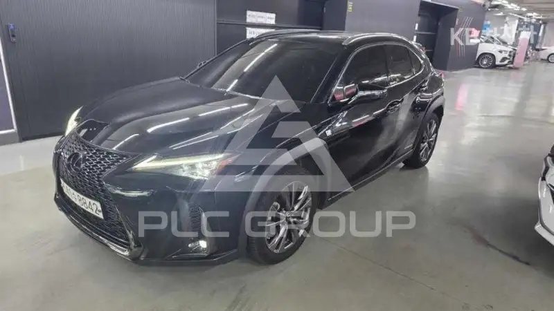 2020 Lexus UX