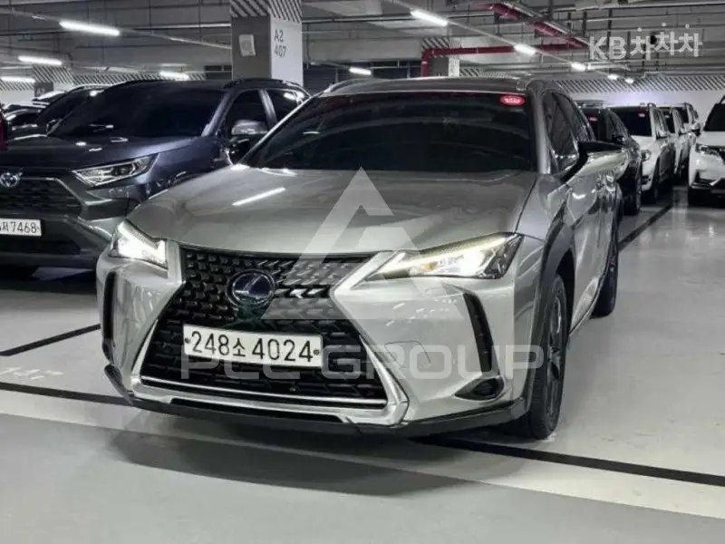 2020 Lexus UX