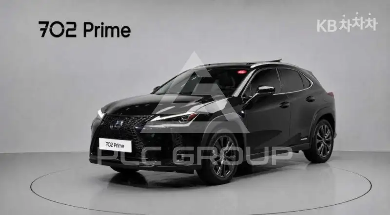 2020 Lexus UX