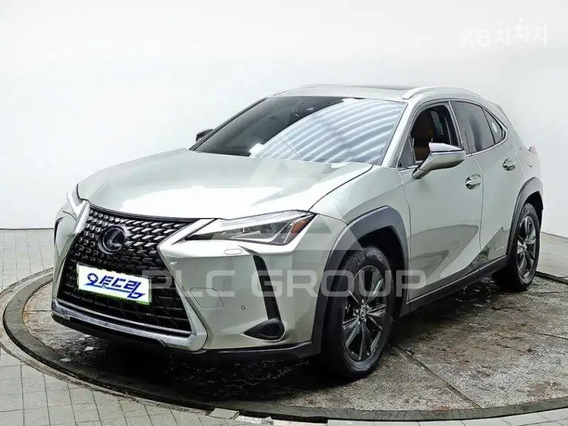 2020 Lexus UX