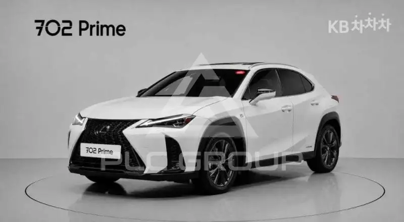 2020 Lexus UX