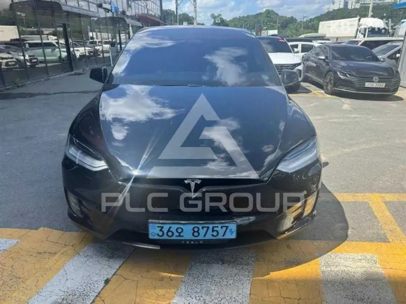 2020 Tesla MODEL X