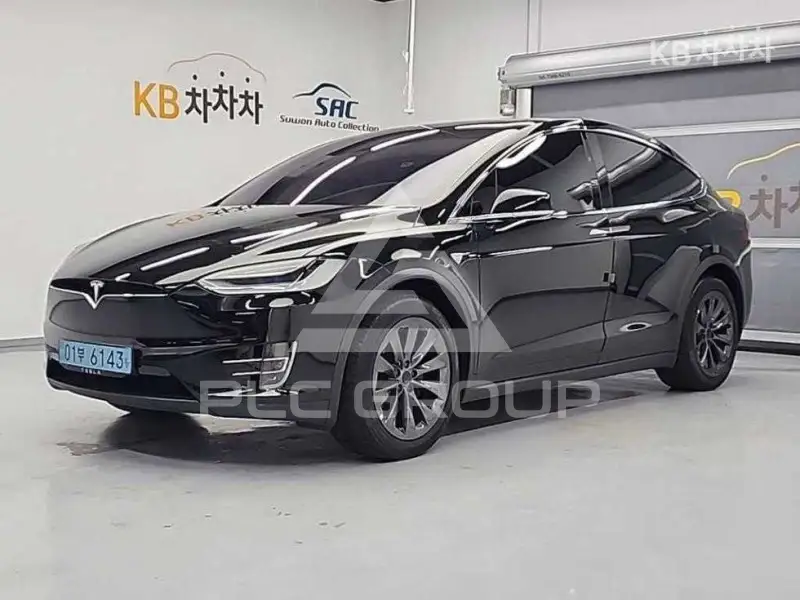 2020 Tesla MODEL X