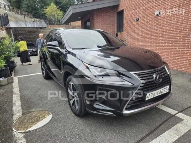 2021 Lexus NX