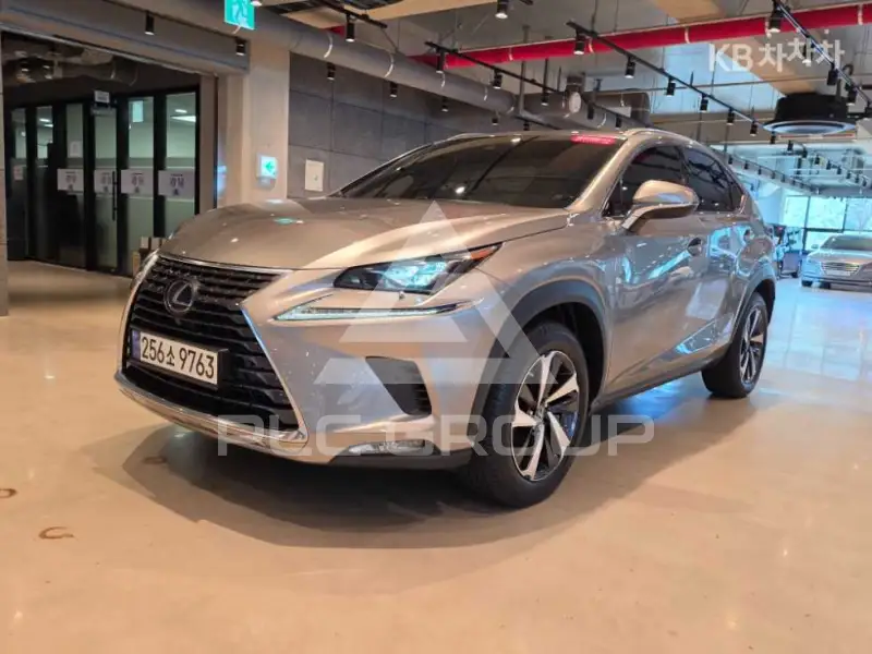 2021 Lexus NX