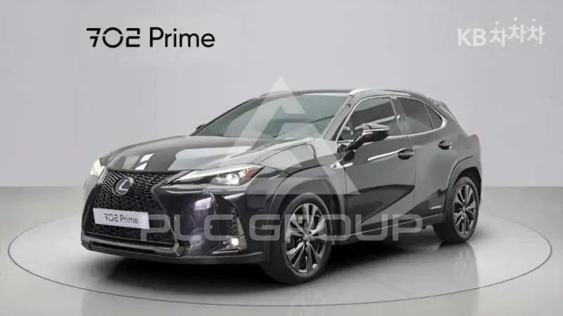 2021 Lexus UX