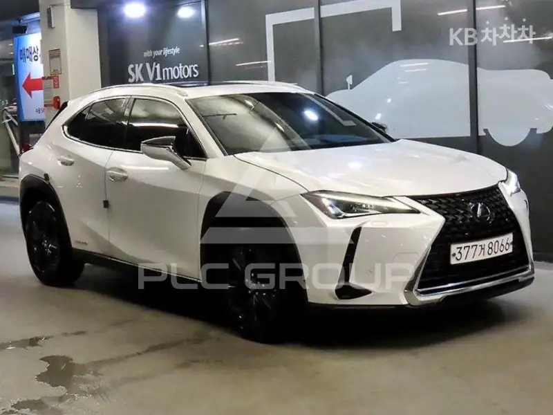 2021 Lexus UX