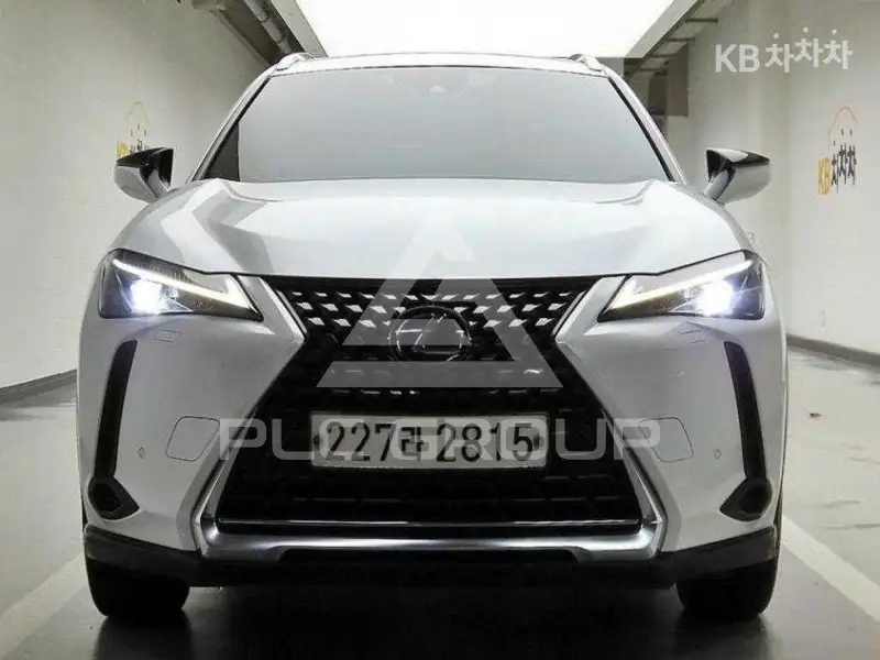 2021 Lexus UX