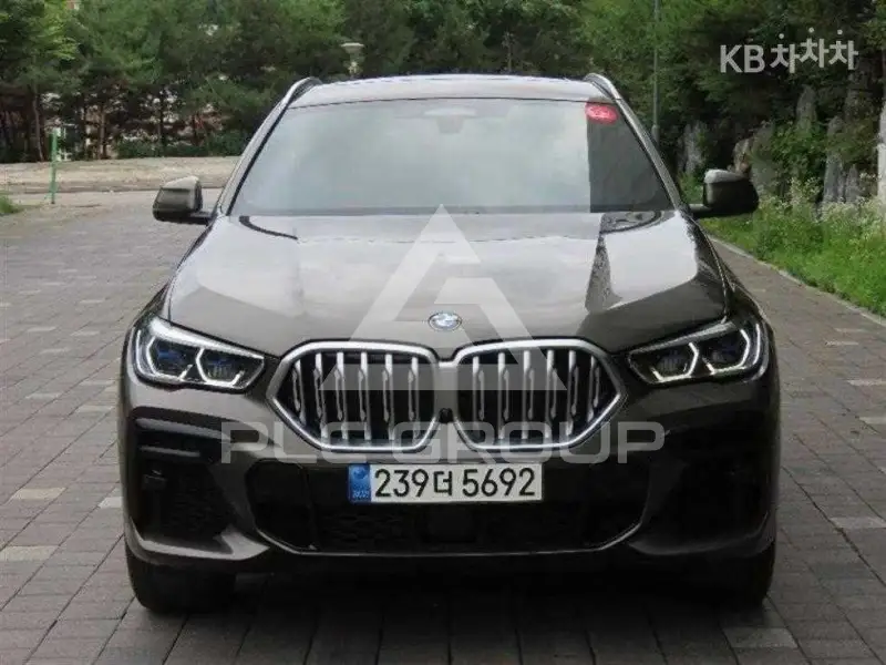 2022 BMW X6