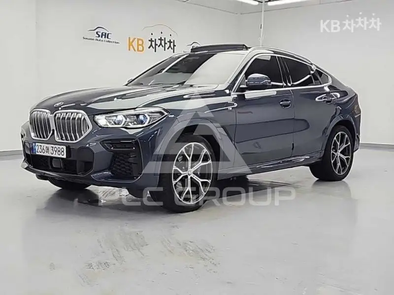 2022 BMW X6