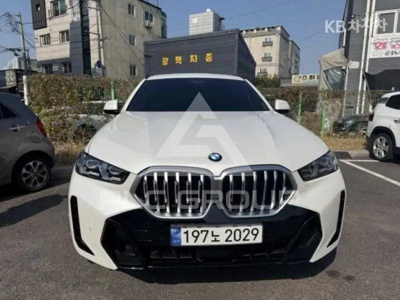 2023 BMW X6