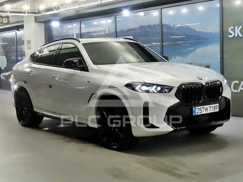 2023 BMW X6