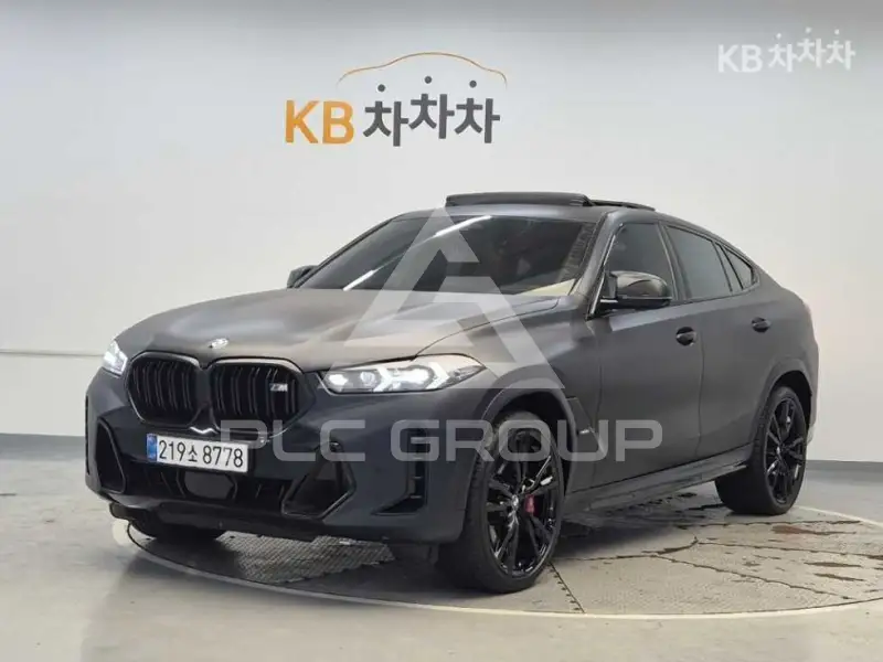 2023 BMW X6