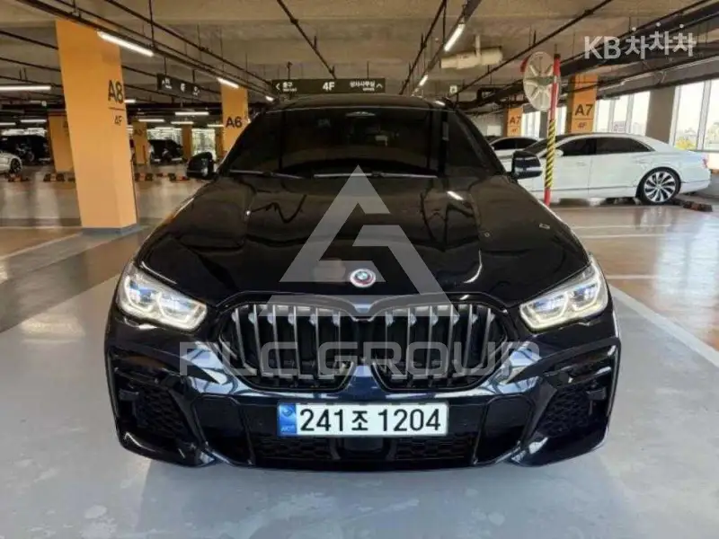 2023 BMW X6