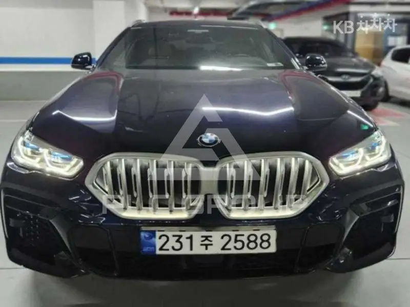 2023 BMW X6