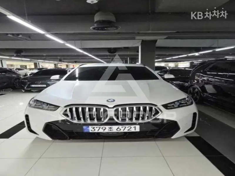 2023 BMW X6