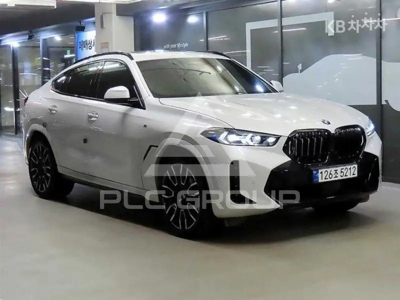 2023 BMW X6