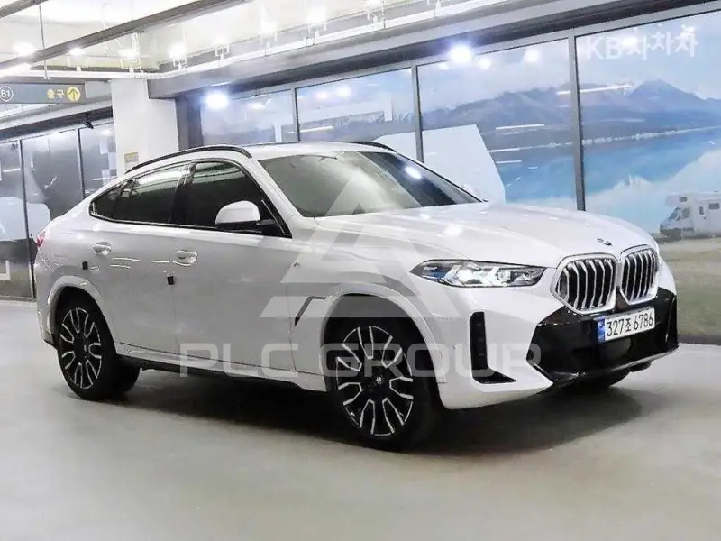 2023 BMW X6