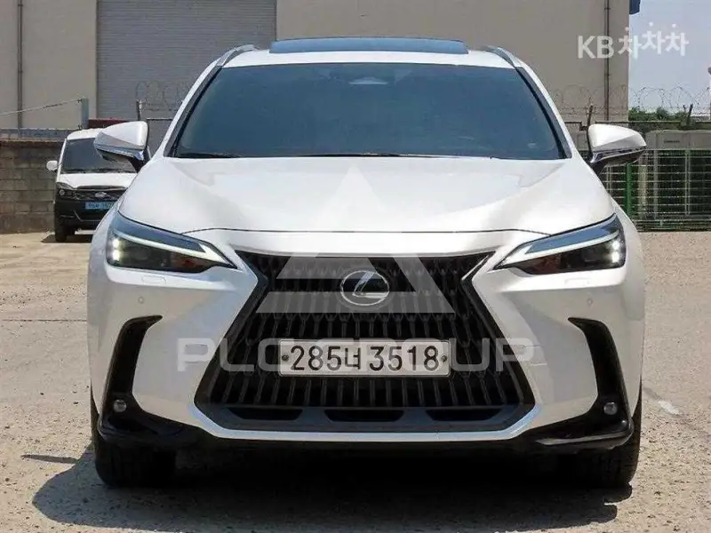 2023 Lexus NX