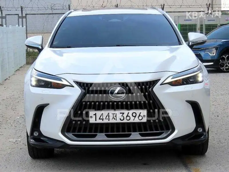 2023 Lexus NX