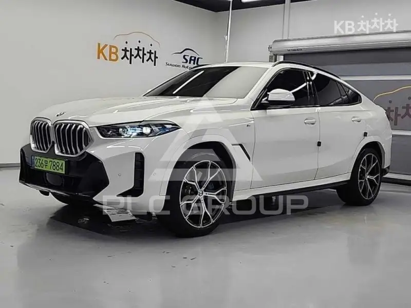 2024 BMW X6