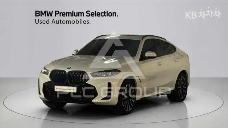 2024 BMW X6