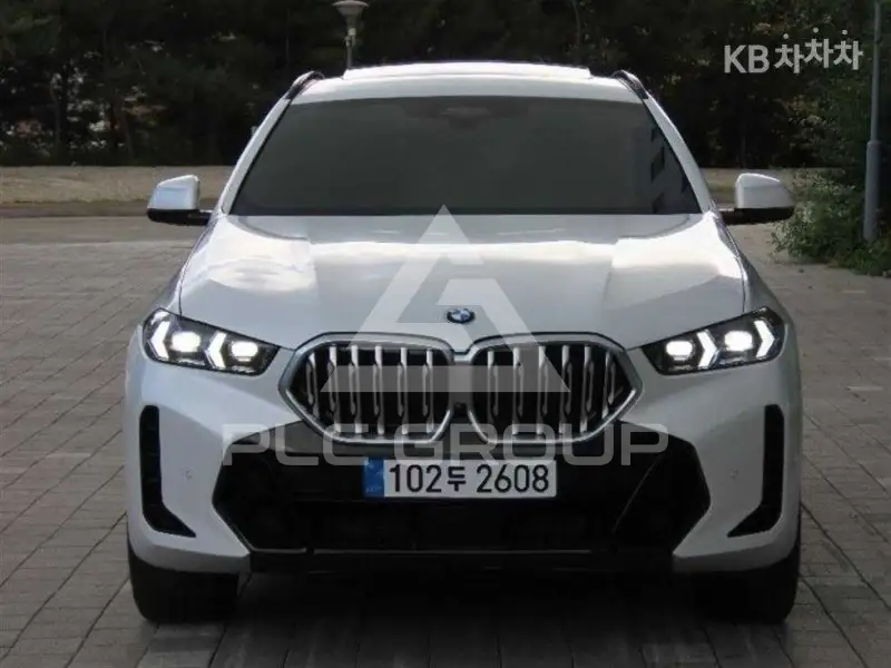 2024 BMW X6