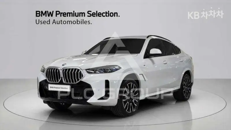 2024 BMW X6