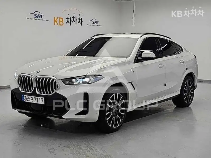 2024 BMW X6
