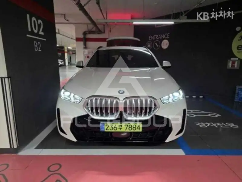 2024 BMW X6