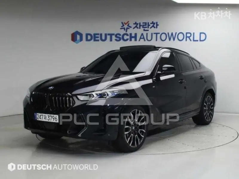 2024 BMW X6