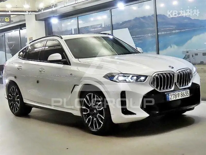 2024 BMW X6