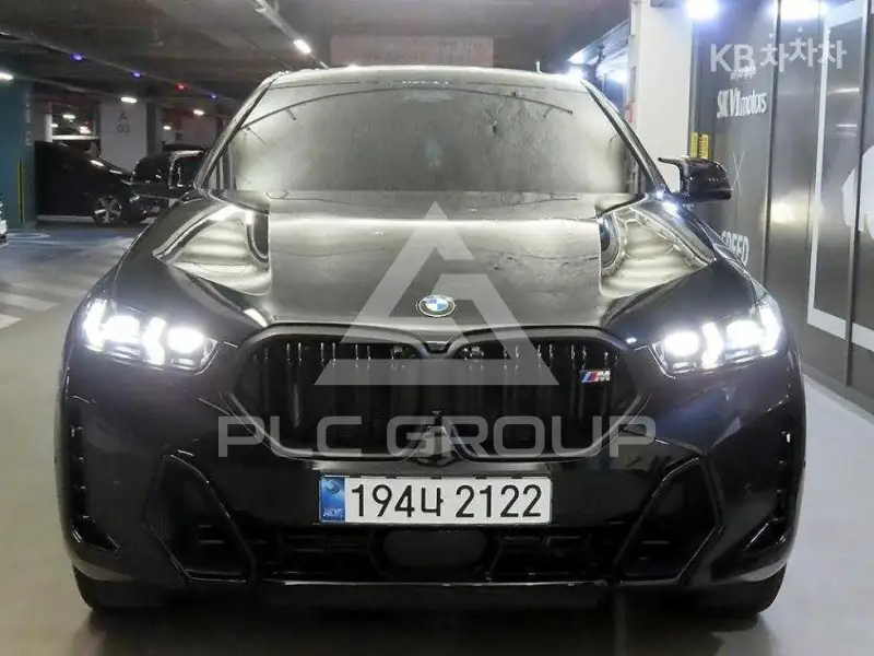 2024 BMW X6