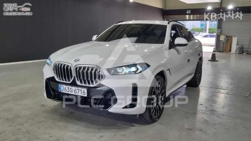 2024 BMW X6