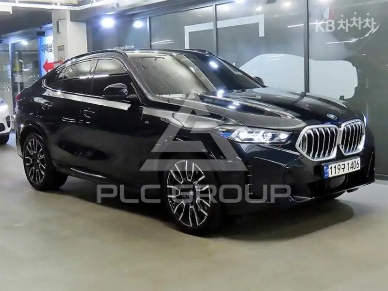 2024 BMW X6