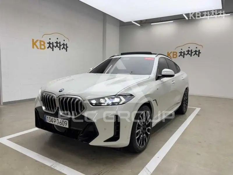 2024 BMW X6