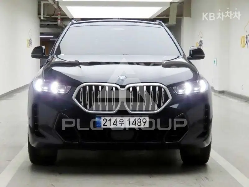 2024 BMW X6