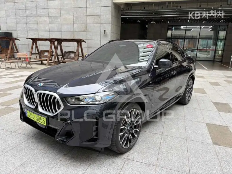 2024 BMW X6