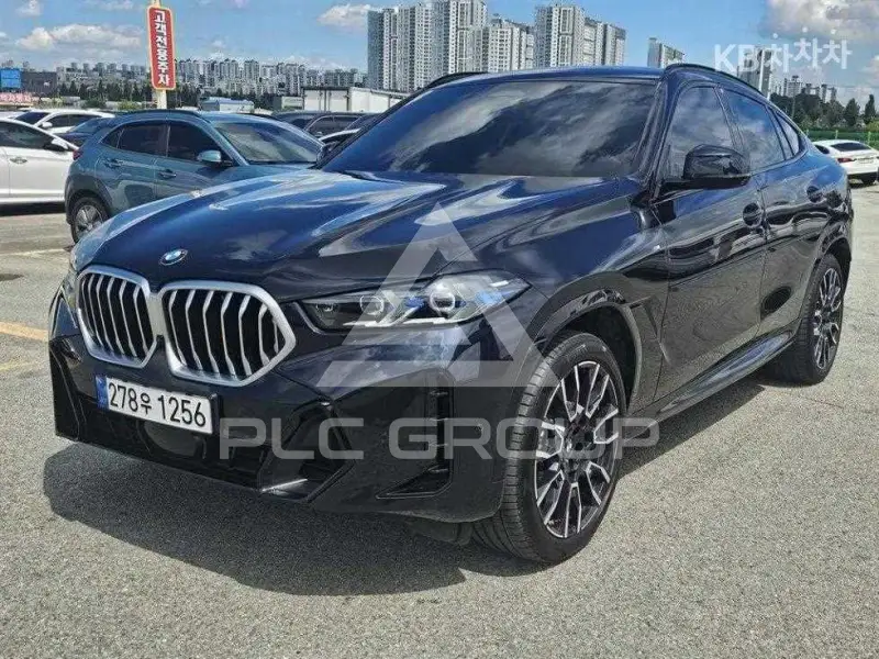 2024 BMW X6