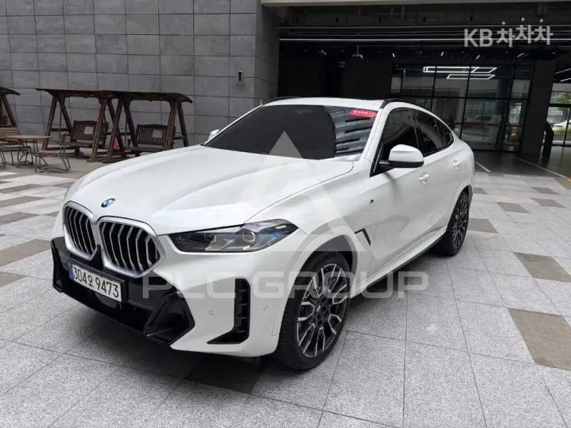2024 BMW X6