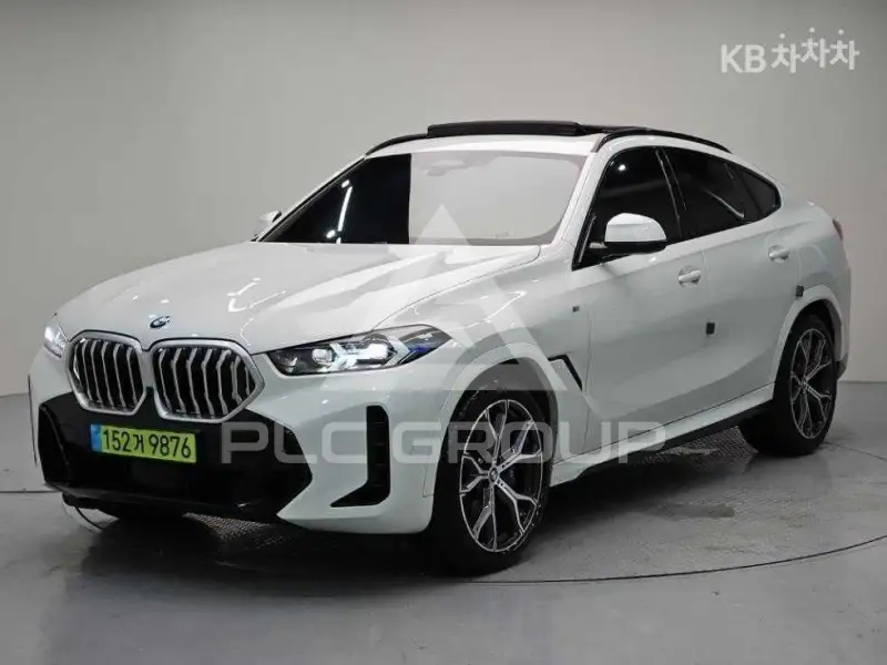2024 BMW X6