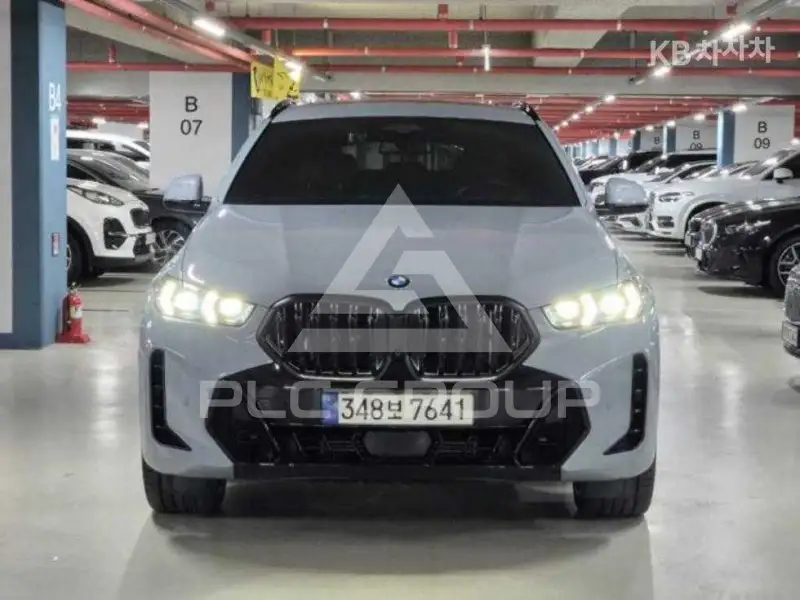 2024 BMW X6