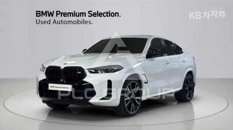 2024 BMW X6
